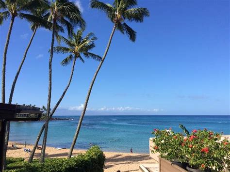Look at vrbo or Airbnb listings for condos in Kihei (South <b>Maui</b>) or Honokowai/Kahana (West <b>Maui</b>) My Perfect Stays vacation rental agency has many units that may fit your budget, but as mentioned availability will be limited for February. . Maui tripadvisor forum